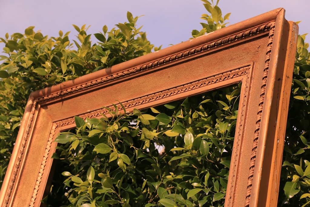Large Vintage Gold Ornate Frame
