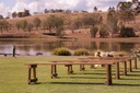 Rustic Brown Wooden Benches (Full Size)