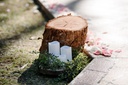 Rustic Tree Trunk