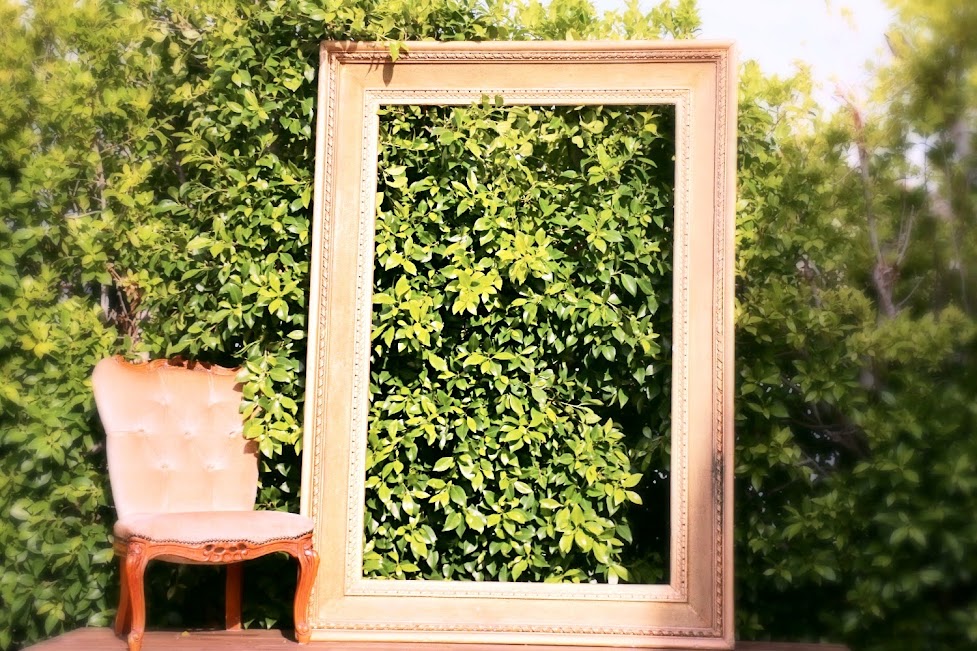 Large Vintage Gold Ornate Frame