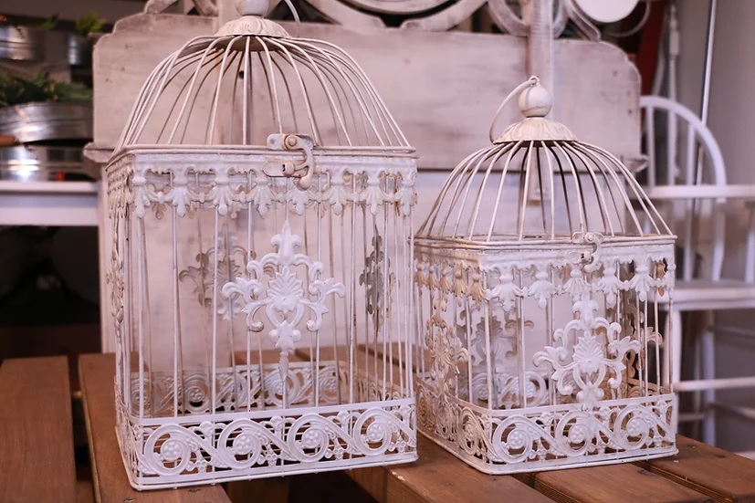Square Bird Cages Card Box - Small