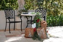 Rustic Tree Trunk