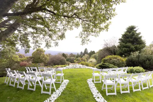 The Vista floral nest and aisle petals (wholesale) 